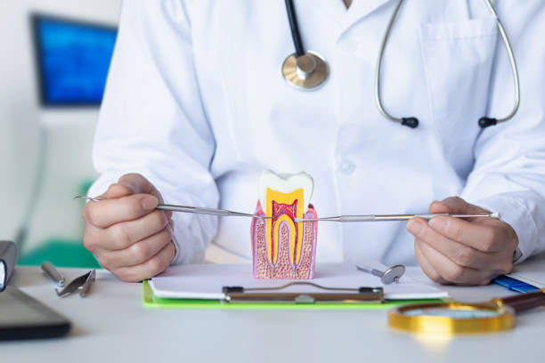Best Emergency Dentist for Knocked-Out Tooth in Woodlands, CA